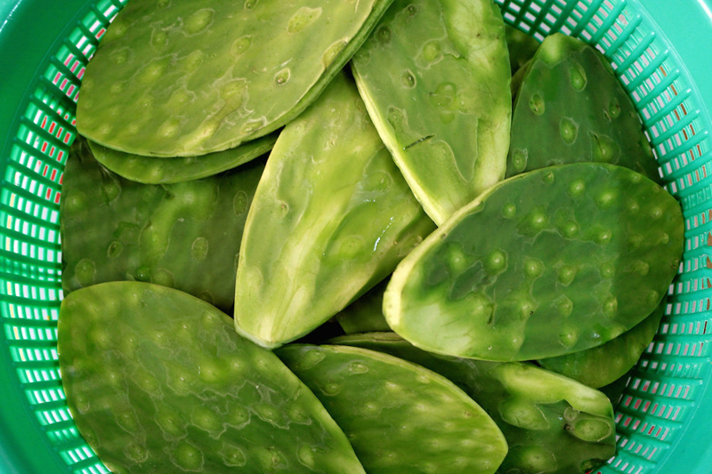NOPAL.jpg
