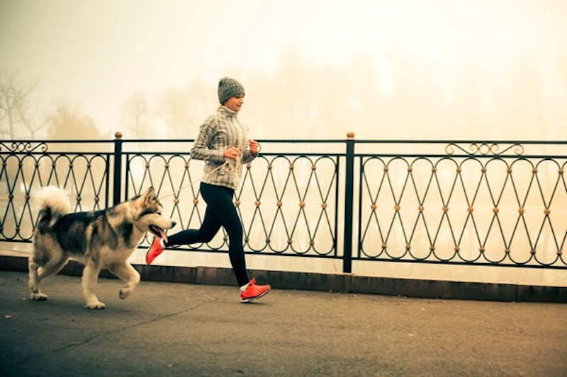 Entrenamiento_con_mascota.jpg