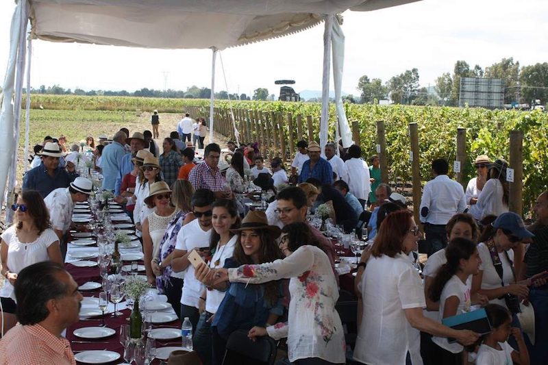 Cava 57 queretaro.jpg