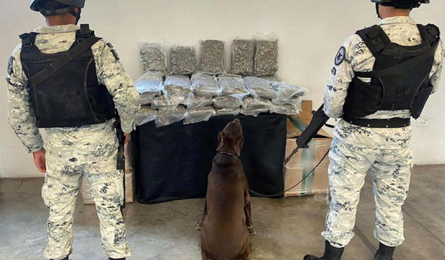 GUARDIA NACIONAL DECOMISO NL.png