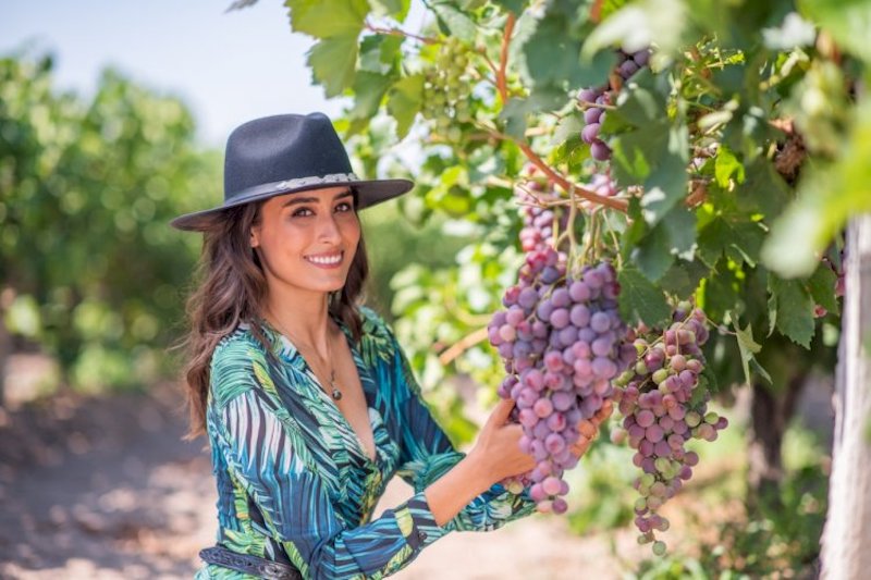 RUTA DEL VINO AGUASCALIENTES.jpg