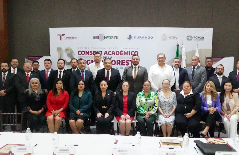 SSP Consejo Académico de la Región Noreste1.png