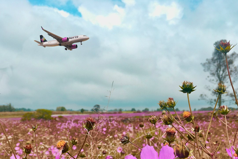 VOLARIS AVION aterriza.png