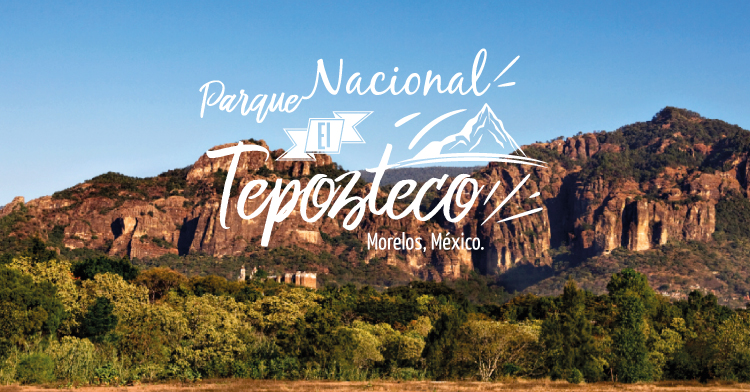 anp_tepozteco_adaptacion_blog750x392.jpg