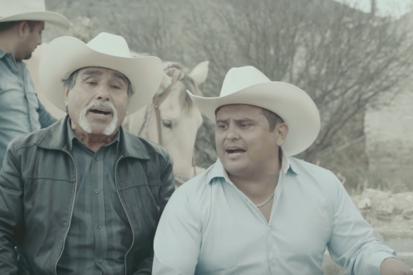 el palomo y el gorrion.jpg