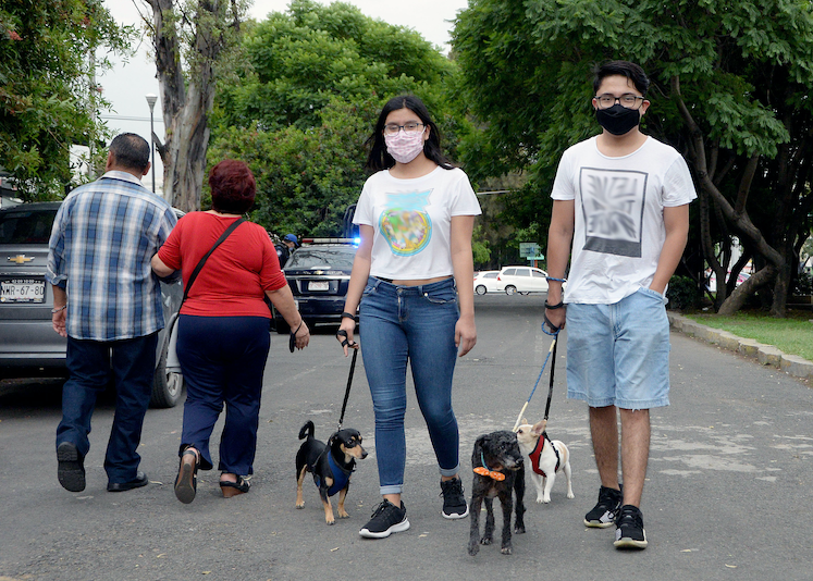pareja de jovenes parea en parque.png