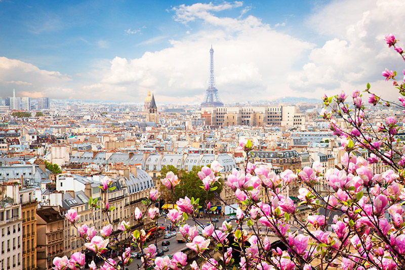 paris.jpg