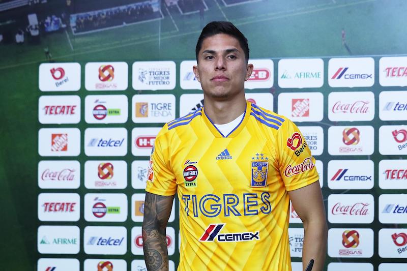 salcedo tigres.jpg
