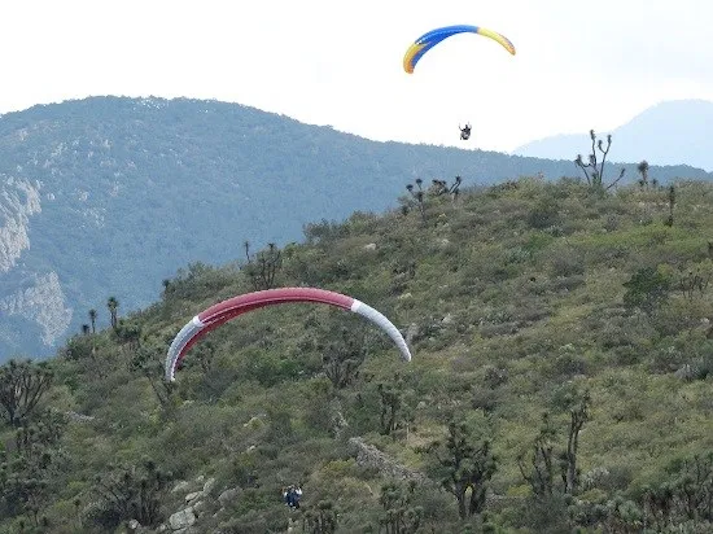 turismo guanajuato.png